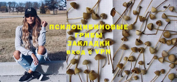 тгк Богородицк
