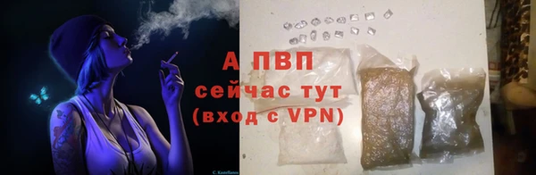 MESCALINE Белокуриха
