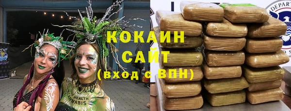 первитин Богданович