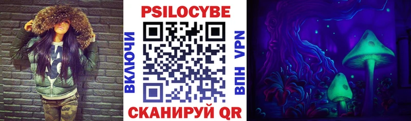 как найти закладки  Мценск  Псилоцибиновые грибы Psilocybine cubensis 